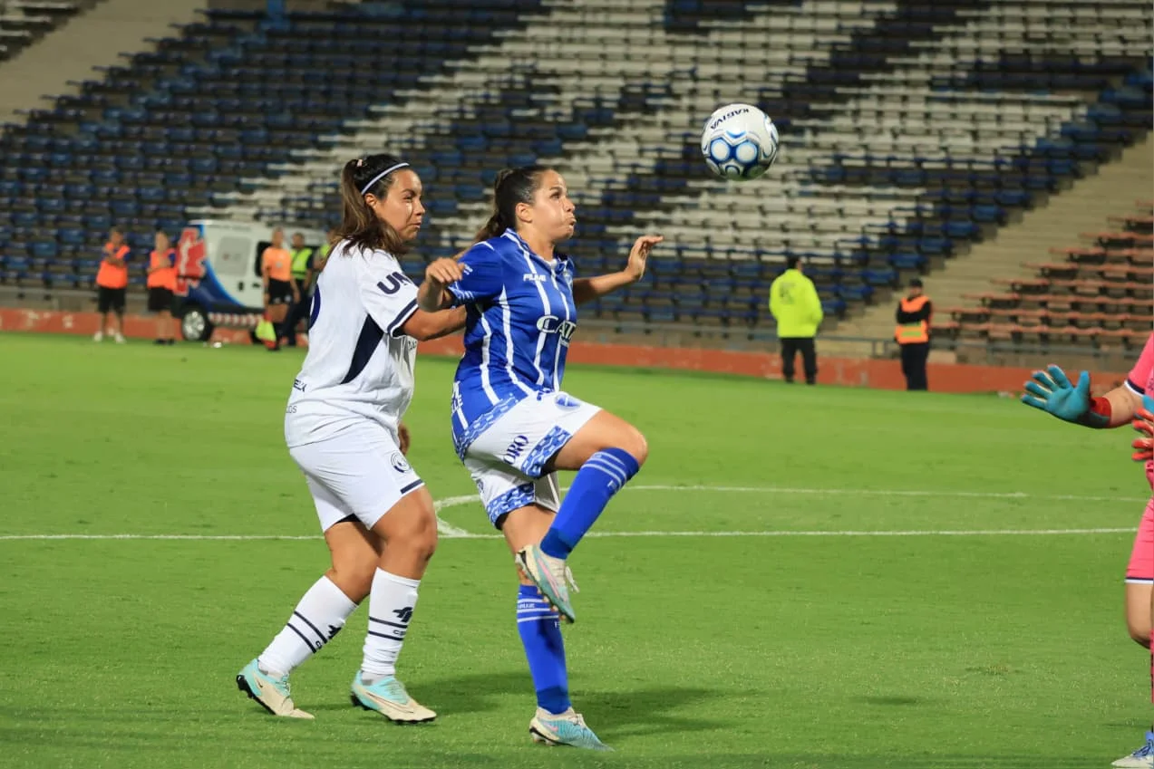 WhatsApp Image 2026-04-01 at 22.50.41